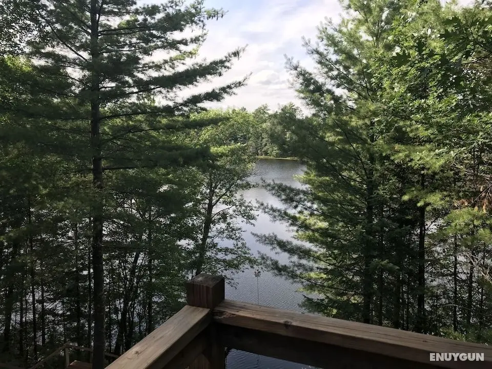 Iggy & Al's Treehouse - Öne Çıkan Resim