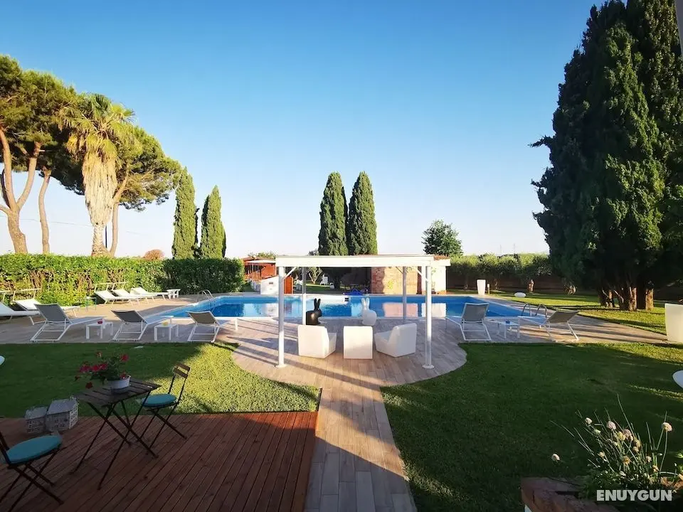 Il Giardino dei Pini - Öne Çıkan Resim