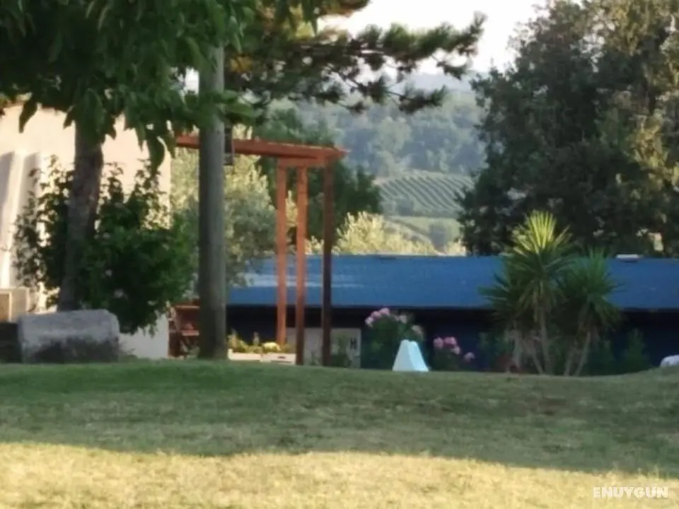 Il Giardino fra gli Ulivi - Öne Çıkan Resim