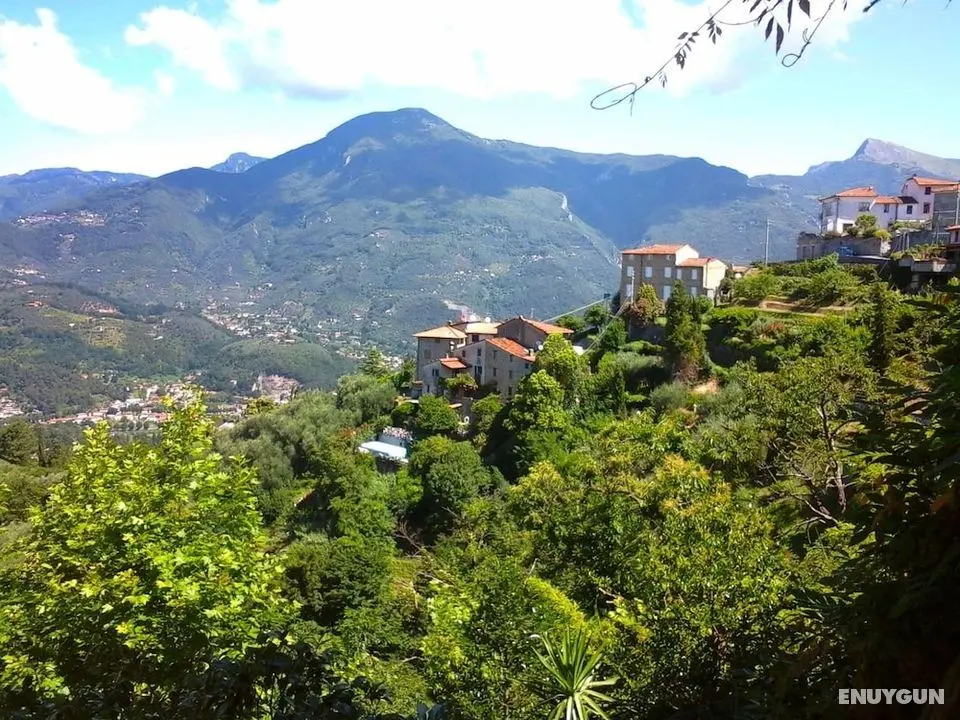 Il Mandarino Pedona in Pedona - Öne Çıkan Resim