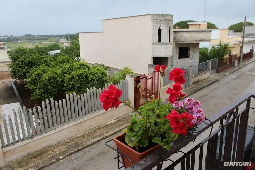 Il Sole di Puglia Bed & Breakfast - Öne Çıkan Resim