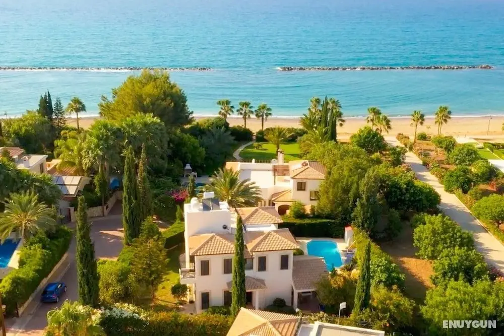Villa Iliana in Poli Crysochous - Öne Çıkan Resim