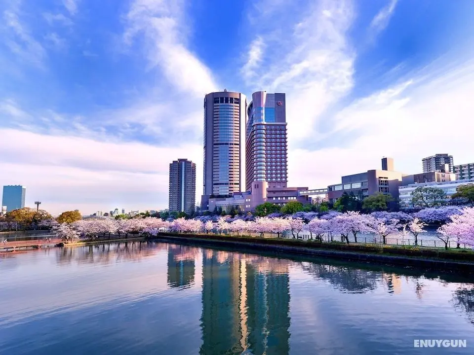 Imperial Hotel Osaka - Dış Mekan