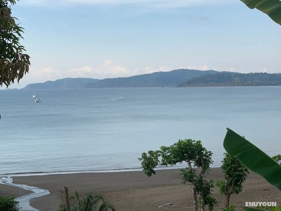 Indigenous Drake Cabins - Havuz