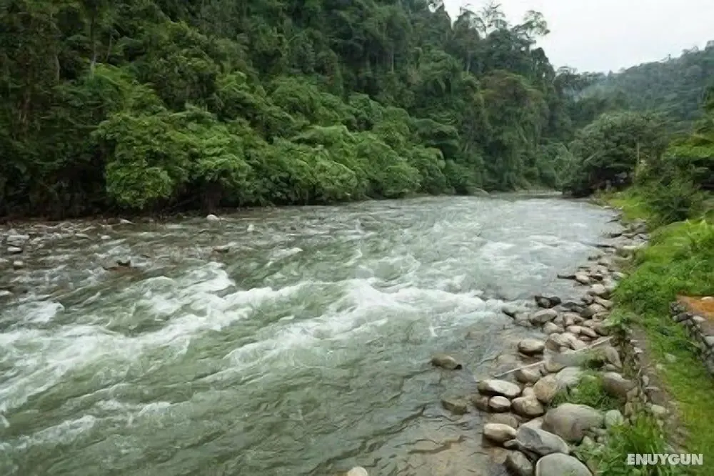 Indra Valley Inn Bukit Lawang - Dış Mekan