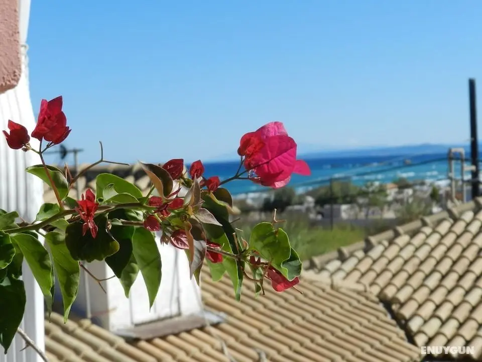 Infinity Blue Beach Apartments - Öne Çıkan Resim
