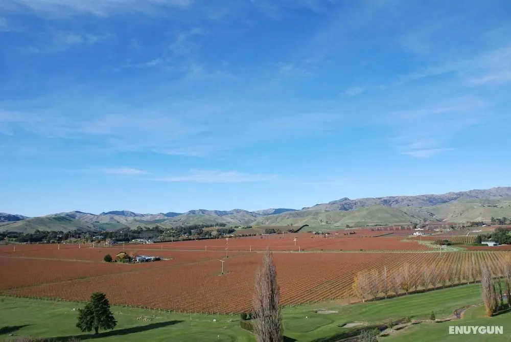 InfinityView B&B - Öne Çıkan Resim