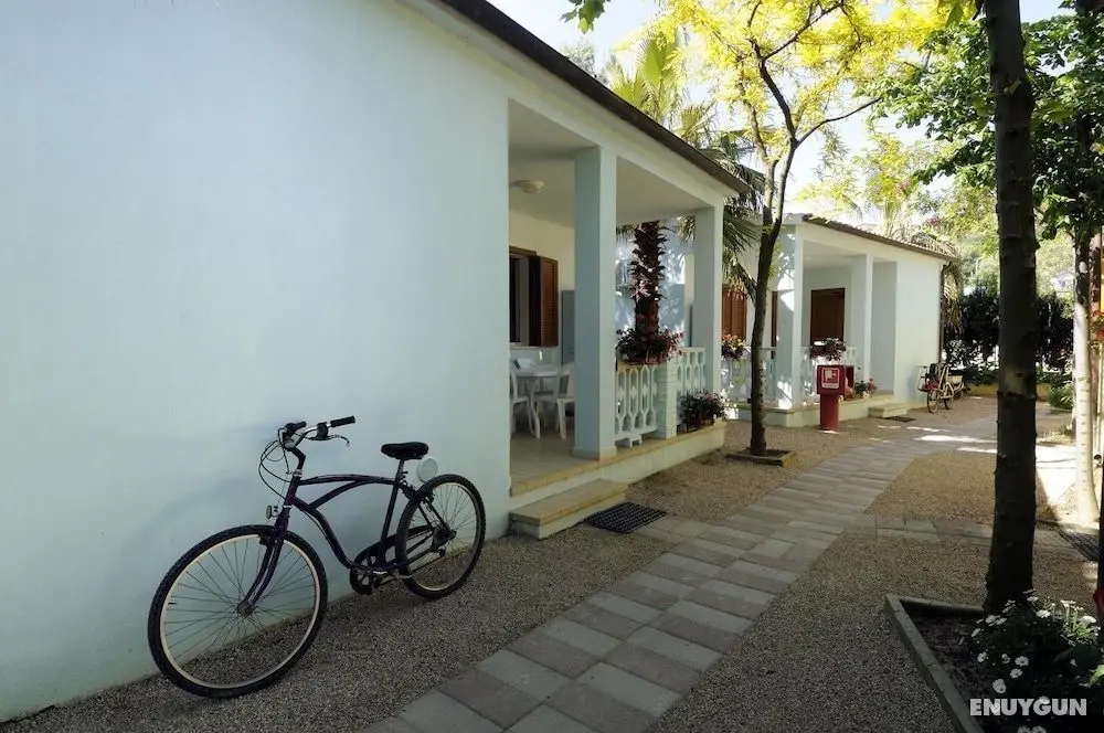 International Camping Torre Cerrano - Dış Mekan
