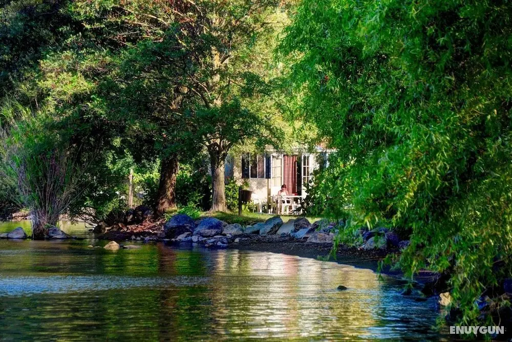 International Glamping Lago Di Bracciano - Öne Çıkan Resim