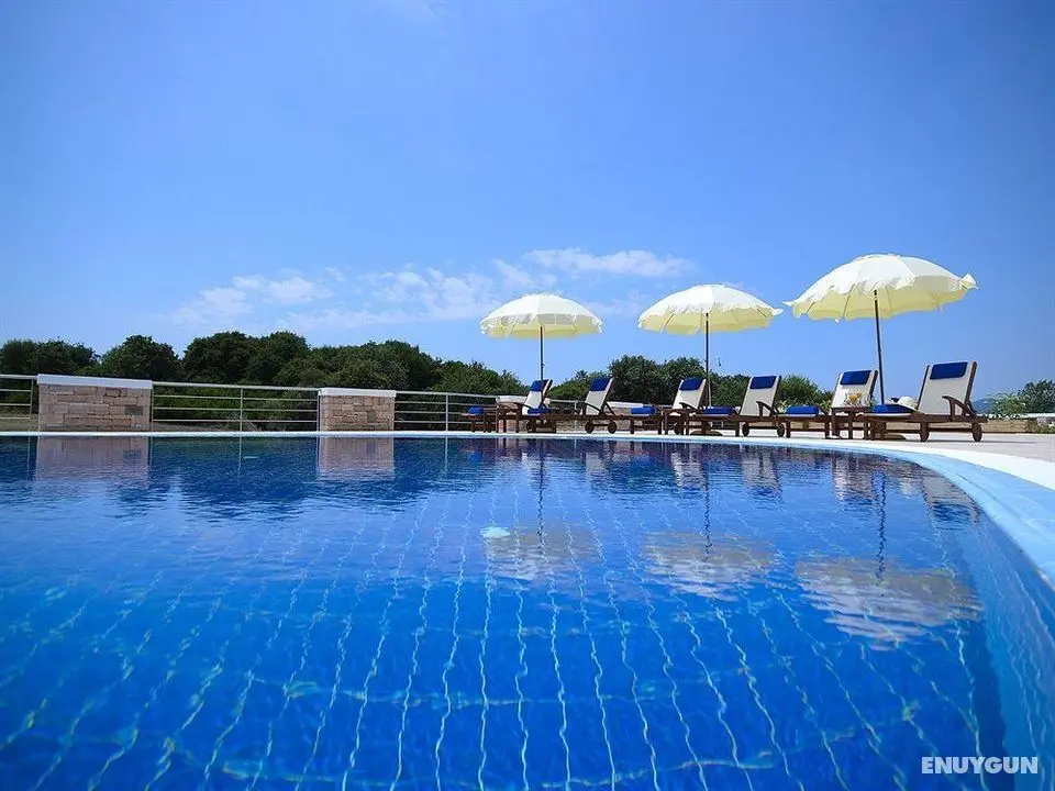 Ionian Theoxenia - Genel
