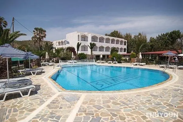 Ionikos - Genel