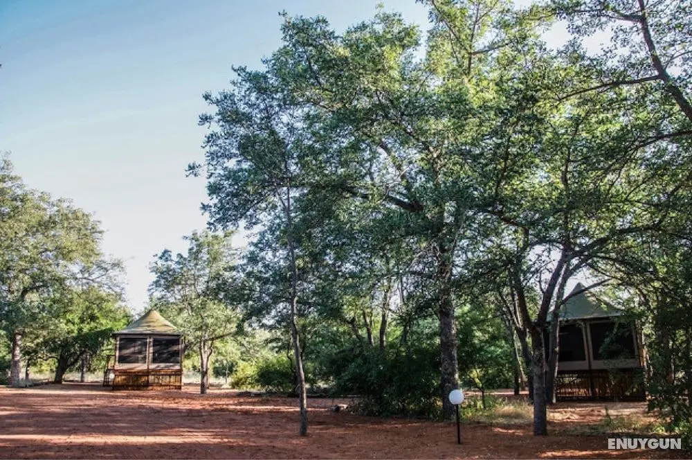 Iphofolo Lodge - Bina Özellikleri