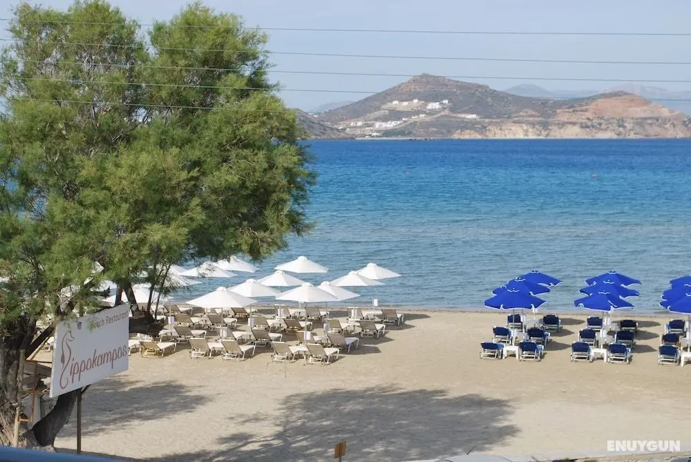 Ippokampos Beachfront - Öne Çıkan Resim