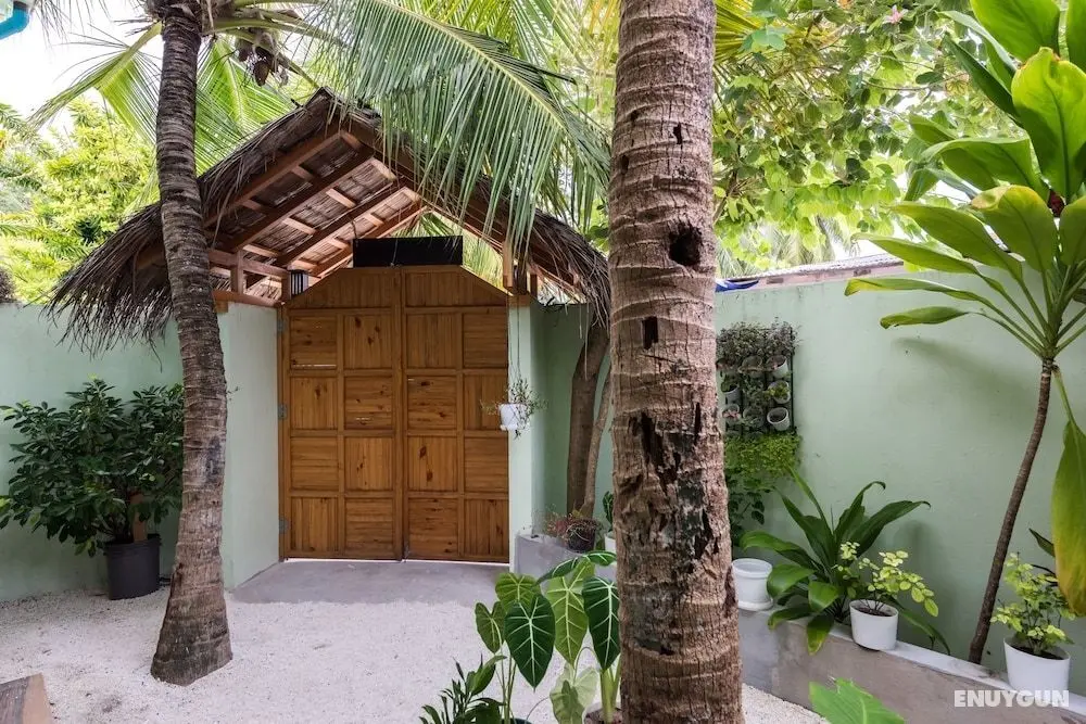 Isla Dhiffushi - İç Mekan