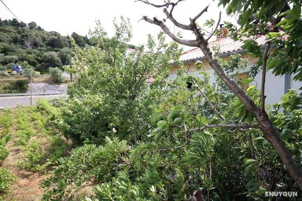 Ivans - With Parking - A1 - Öne Çıkan Resim