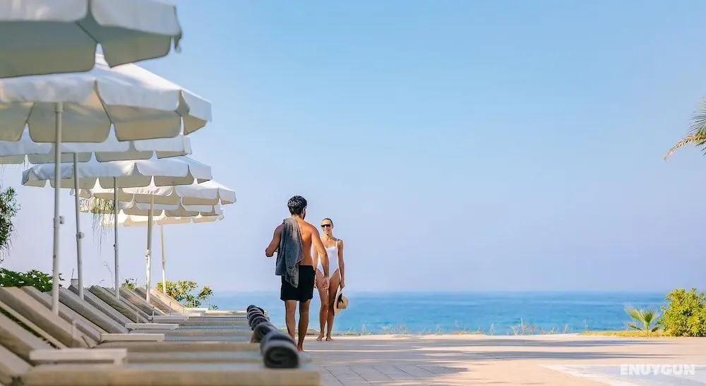 The Ivi Mare - Designed for Adults - Öne Çıkan Resim