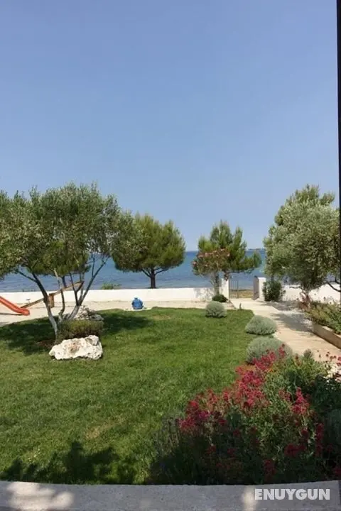 Ivo - Family Friendly - A1 Crveni - Öne Çıkan Resim