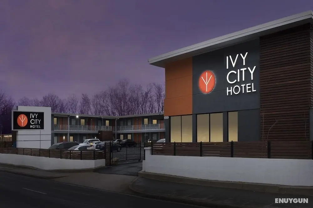 Ivy City Hotel - Öne Çıkan Resim