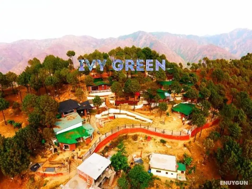IVY Green Resort - Öne Çıkan Resim