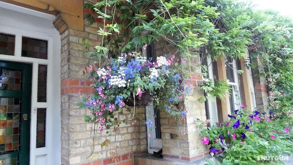 Ivy House B&B - Öne Çıkan Resim