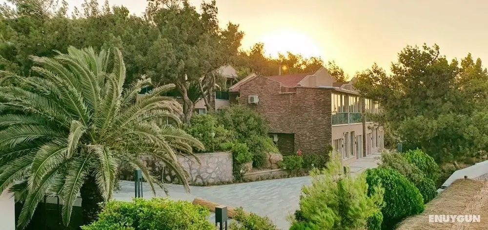 Ivy Sailing Resort - Öne Çıkan Resim