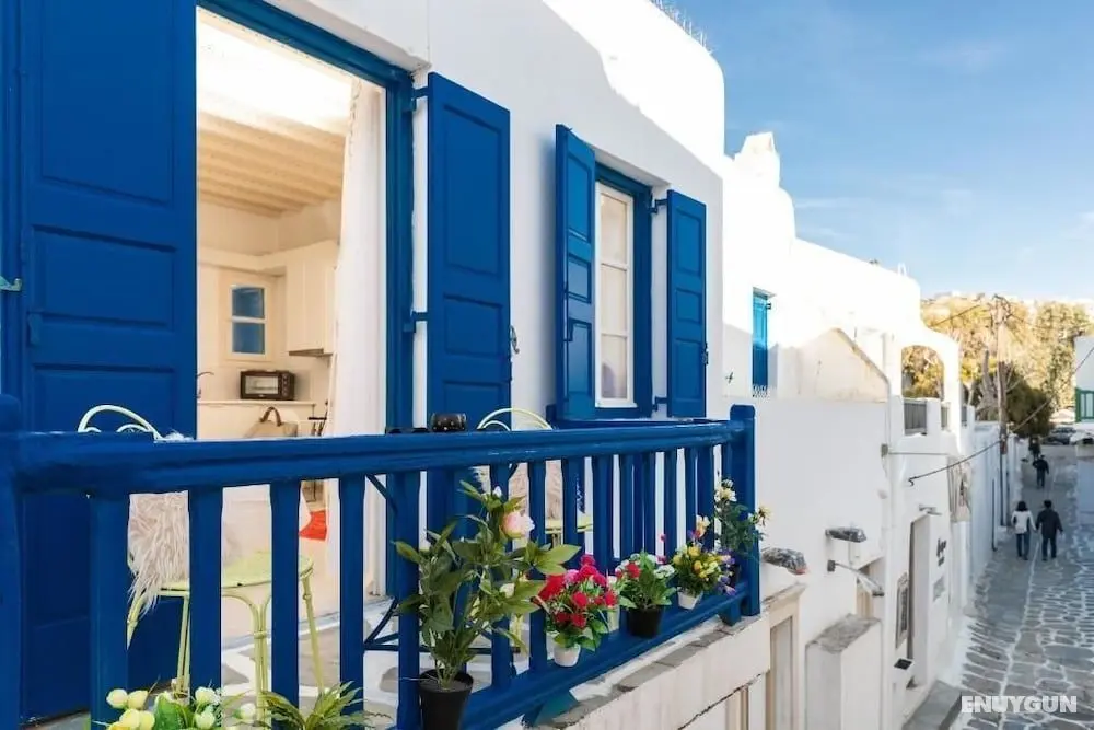 Izabella's House - Dış Mekan
