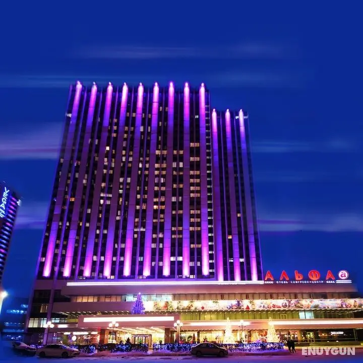 Izmailovo Alfa Hotel - Dış Mekan