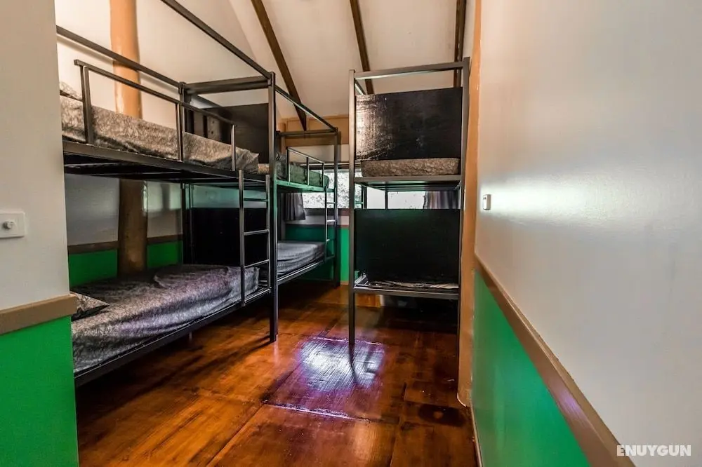 Jackaroo Treehouse Mission Beach - Öne Çıkan Resim