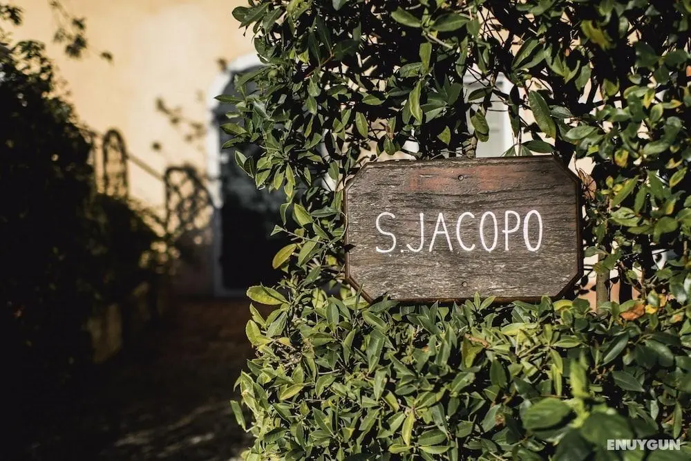 Jacopo Farmhouse Apartment in Wine Resort in Lucca - Oda