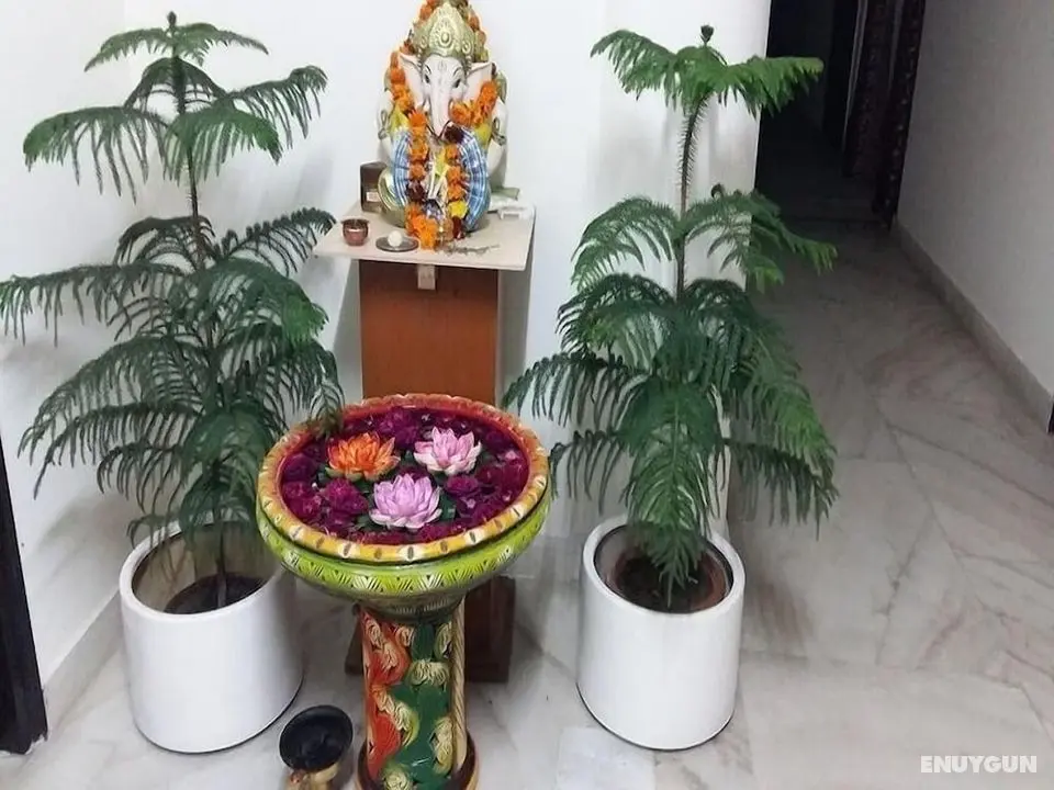 Jagannath Guest House - Öne Çıkan Resim