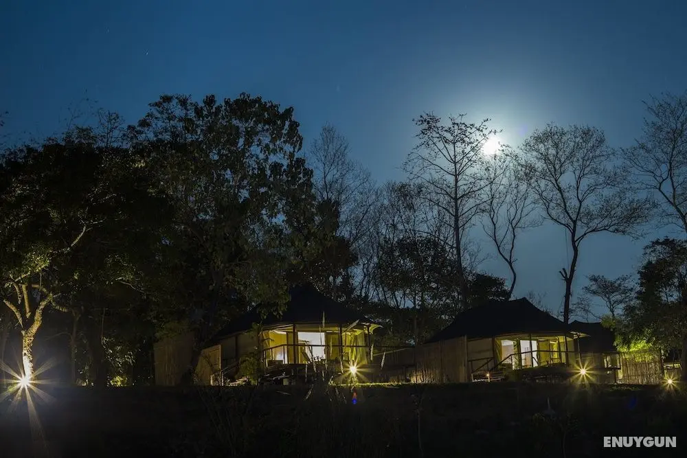 Jagatpur Lodge - Chitwan National Park - Dış Mekan