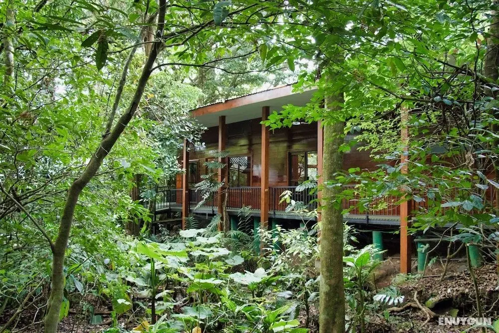 Jaguarundi Lodge - Öne Çıkan Resim