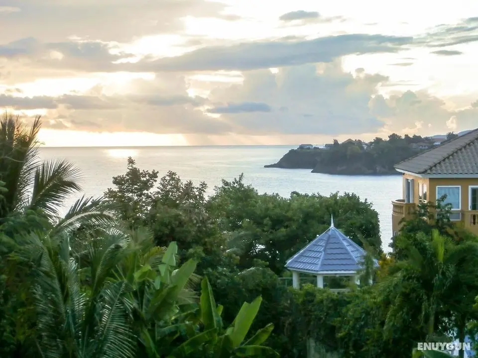 Jamaica Ocean View Villa - Oda Düzeni