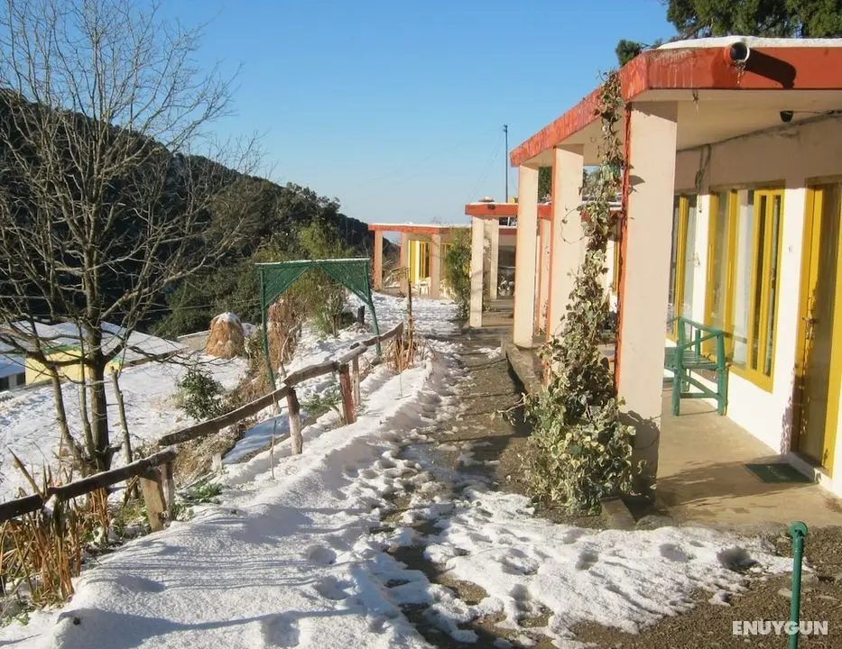 Janardan Resort Pangot, Nainital - Öne Çıkan Resim