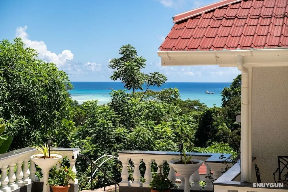Jane's Serenity Guest house - Dış Mekan