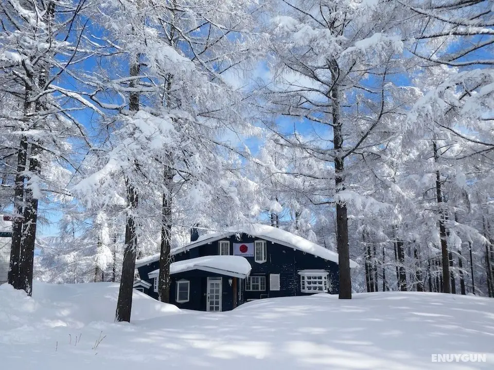 Japan Snowsports - Öne Çıkan Resim