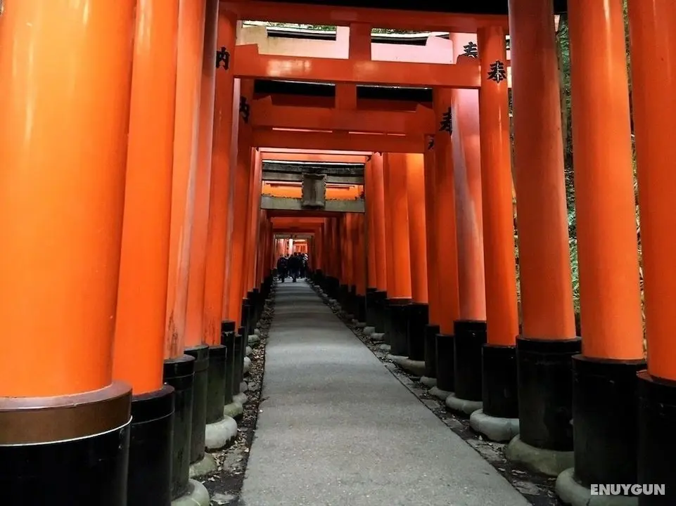 JAPANING HOTEL Gozen - İlgi Noktası