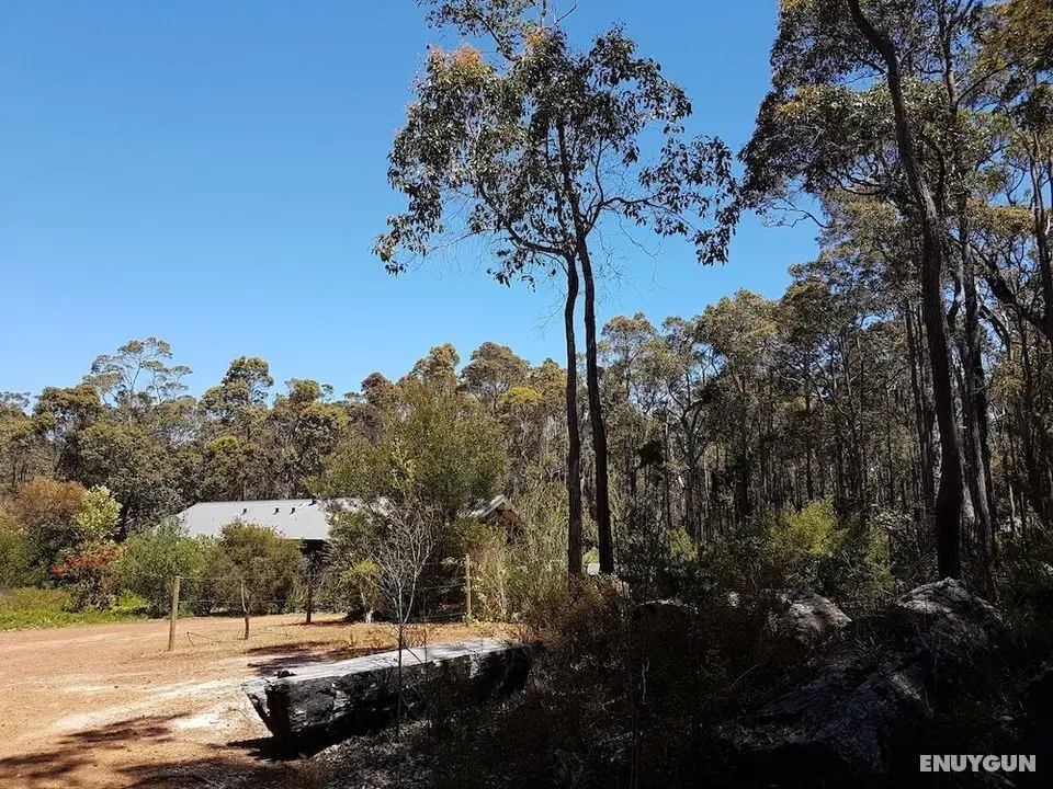 Jarrah Grove Forest Retreat - Adults Only - Dış Mekan