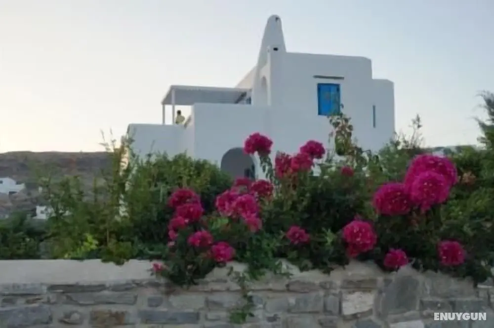 Villa Jason - Öne Çıkan Resim