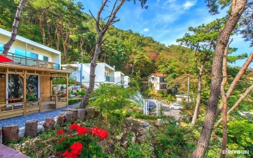 Jecheon Montmartre Pension - Misafir Tesisleri ve Hizmetleri