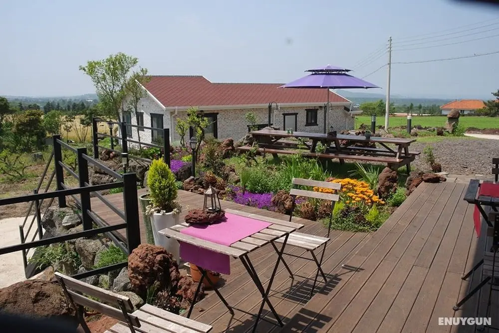 Jeju Baramuieondeok Guest House - Misafir Tesisleri ve Hizmetleri