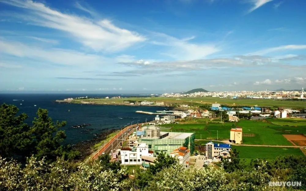 Jeju Beach House Pension - Öne Çıkan Resim