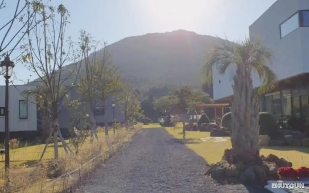 Jeju Camp Harris Spa Pension - Misafir Tesisleri ve Hizmetleri