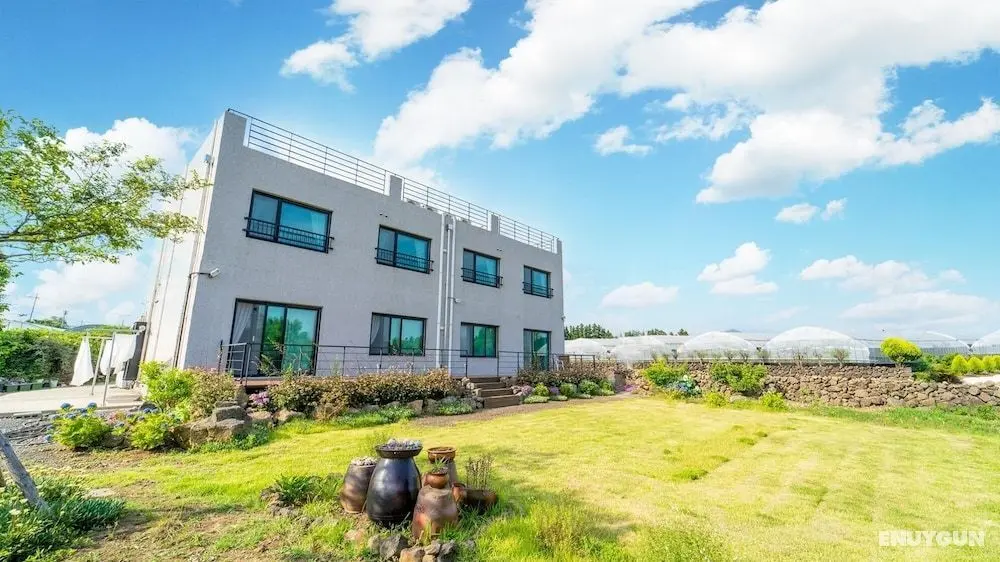 Jeju Chunjane Pension - Dış Mekan