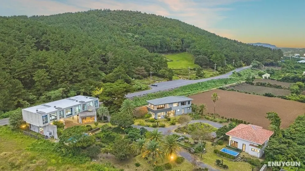 Jeju Color In Jeju Pension - Dış Mekan