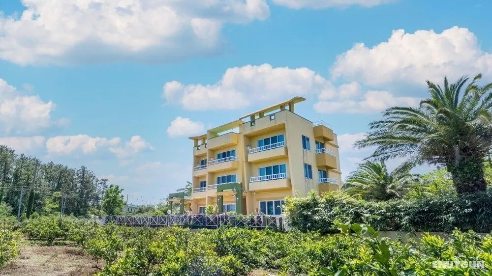 Jeju Dalbam Pension - Dış Mekan