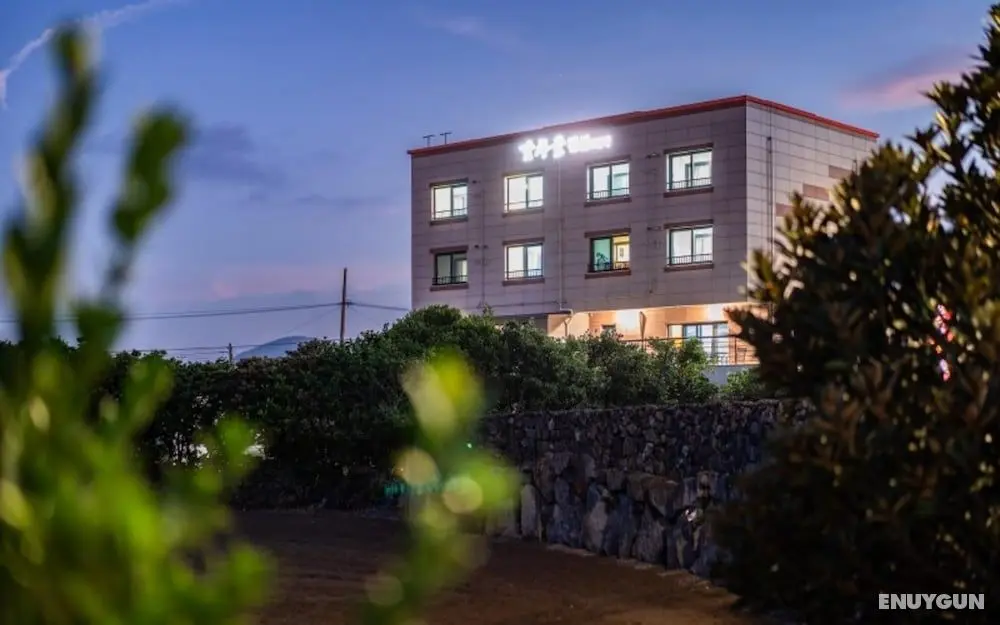 Jeju Gamsugul Pension - Öne Çıkan Resim