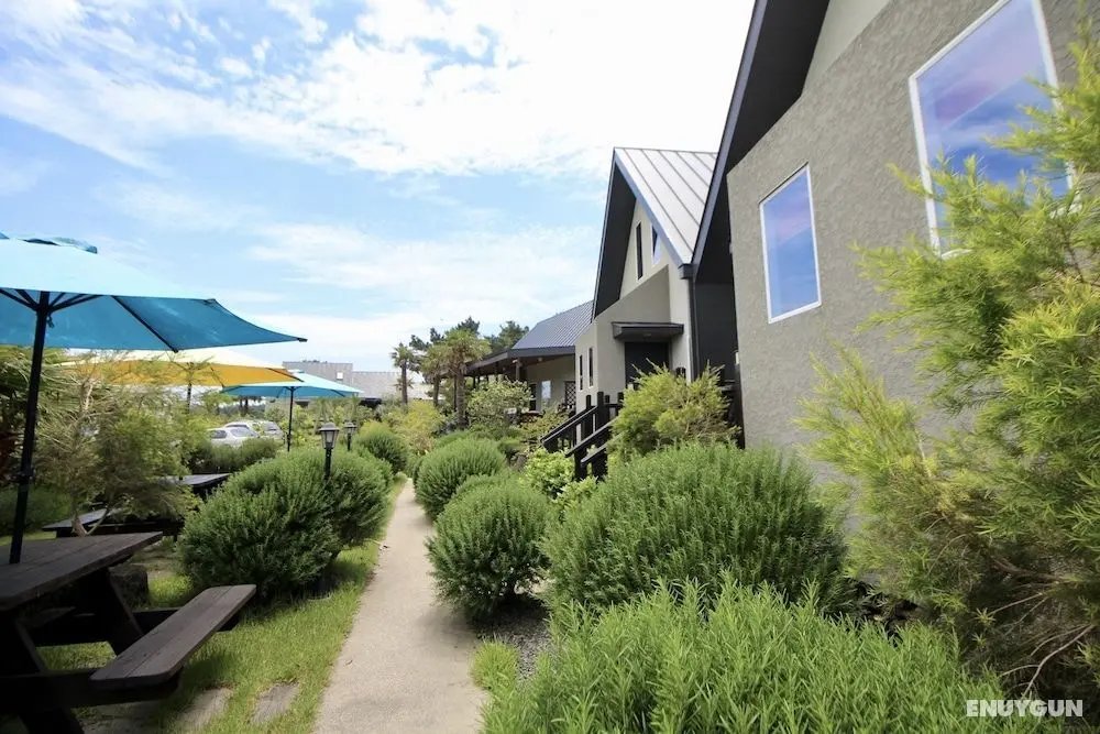 Jeju Herb Pension Oz - Öne Çıkan Resim