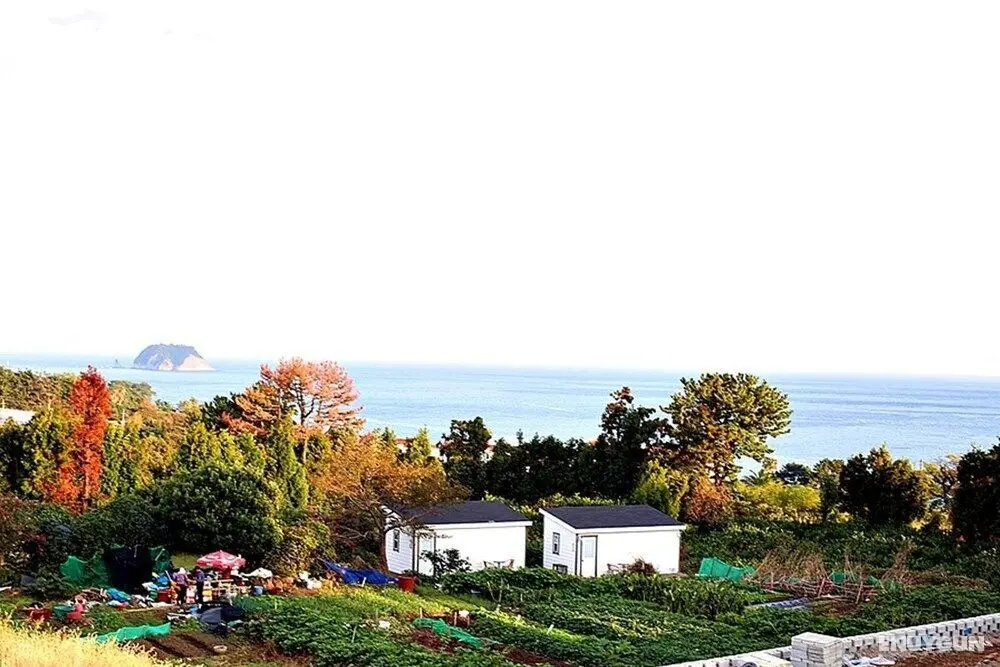 Jeju Inhouse Pension - Oda