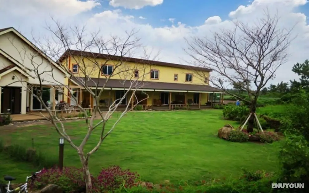 Jeju Jarak Pension - Öne Çıkan Resim